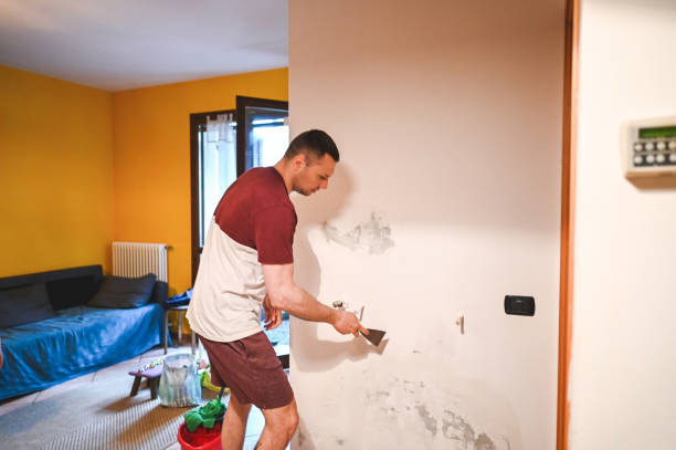 Best Professional Mold Removal  in South Holland, IL